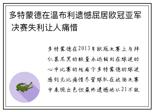 多特蒙德在温布利遗憾屈居欧冠亚军 决赛失利让人痛惜 多特蒙德在温布利遗憾屈居欧冠亚军 决赛失利让人痛惜